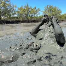 Goonology: Edging Myself Senseless in Bottomless Tidal Mud!