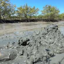 Goonology: Edging Myself Senseless in Bottomless Tidal Mud!
