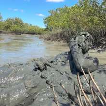 Goonology: Edging Myself Senseless in Bottomless Tidal Mud!