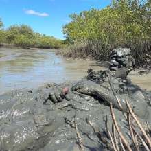 Goonology: Edging Myself Senseless in Bottomless Tidal Mud!
