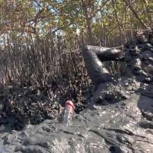 Goonology: Gooning for Hours in Smelly Swamp Mud