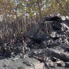 Goonology: Gooning for Hours in Smelly Swamp Mud