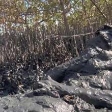 Goonology: Gooning for Hours in Smelly Swamp Mud
