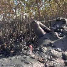 Goonology: Gooning for Hours in Smelly Swamp Mud