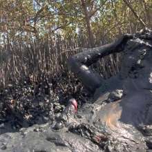 Goonology: Gooning for Hours in Smelly Swamp Mud