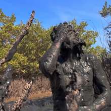 Goonology: Gooning for Hours in Smelly Swamp Mud
