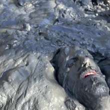 Goonology: Gooning for Hours in Smelly Swamp Mud
