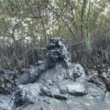 Goonology: Gooning for Hours in Smelly Swamp Mud
