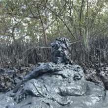 Goonology: Gooning for Hours in Smelly Swamp Mud