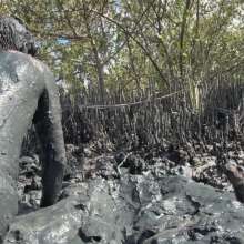 Goonology: Gooning for Hours in Smelly Swamp Mud