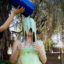 Thefetishgirl: Green Slime