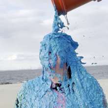 East Coast Slime: Jenny