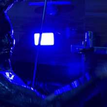 Your Wet Cat: Latex Painted Sexy Black Demon