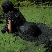 QS4Ever: Luna Lee in Too Obvious Swamp