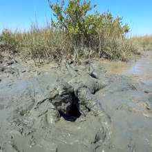 Messy Temptress: Messy Mud Play in Purple Silk Pajamas