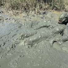 Messy Temptress: Messy Mud Play in Purple Silk Pajamas