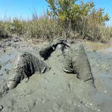 Messy Temptress: Messy Mud Play in Purple Silk Pajamas