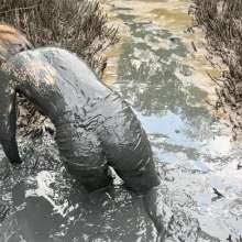 Messy Temptress: Rubbing My Clit in the Swamp like a Horny Mud Nymph