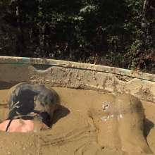 Jayce: Muddy "Tit for Tat" to Playful-in Expensive Cosplay!
