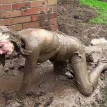 custardcouple: Mud Fetish 2
