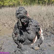 Messy Temptress: Peasant Girl Pelted with Smelly Mud--Punished and Humiliated