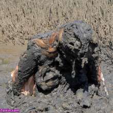 Messy Temptress: Peasant Girl Pelted with Smelly Mud--Punished and Humiliated