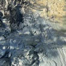 Goonology: Quick and Dirty Wallow in the Estuary Mud