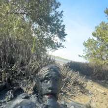Goonology: Quick and Dirty Wallow in the Estuary Mud