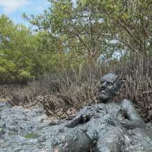 Goonology: Quick and Dirty Wallow in the Estuary Mud