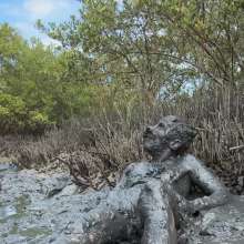 Goonology: Quick and Dirty Wallow in the Estuary Mud