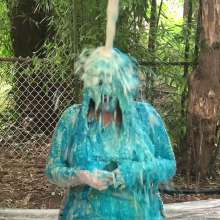 East Coast Slime: Shannon