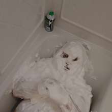 MontyBurns: Shaving Cream Face Encasement
