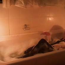 Thefetishgirl: Soaking Wet Sock Play