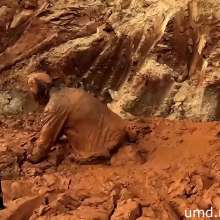 TannerQS: Tallest Jump into Bottomless Mud