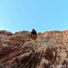 TannerQS: Tallest Jump into Bottomless Mud