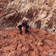 TannerQS: Tallest Jump into Bottomless Mud