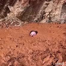 TannerQS: Tallest Jump into Bottomless Mud