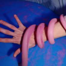 Larzstord: Tangled in Tentacles
