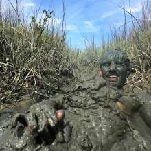 Goonology: Tides Come In, Brains Cum'd Out