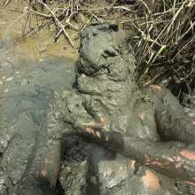 Goonology: Tides Come In, Brains Cum'd Out
