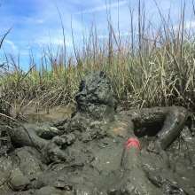 Goonology: Tides Come In, Brains Cum'd Out