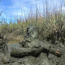 Goonology: Tides Come In, Brains Cum'd Out