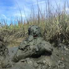 Goonology: Tides Come In, Brains Cum'd Out