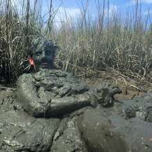 Goonology: Tides Come In, Brains Cum'd Out