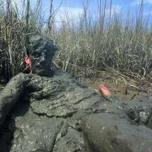 Goonology: Tides Come In, Brains Cum'd Out