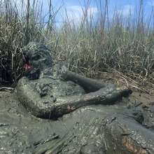 Goonology: Tides Come In, Brains Cum'd Out