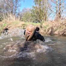 WetandMuddy: Video 108--Back to Black