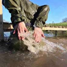 WetandMuddy: Video 110--Bull Rustling