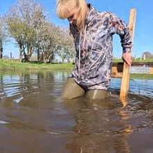 WetandMuddy: Video 110--Bull Rustling