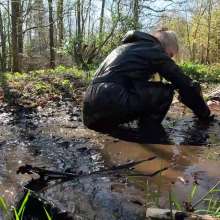 WetandMuddy: Video 110--Bull Rustling